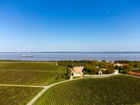 2025 Bordeaux tasting notes: Left Bank—Médoc / Haut-Médoc / Moulis