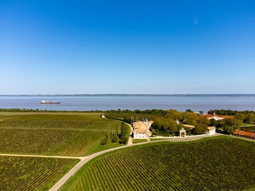 A view of the Haut Médoc / Gironde