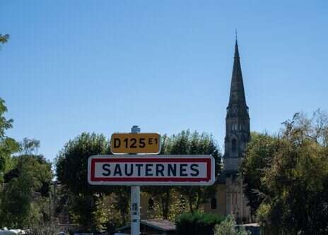 2025 Bordeaux tasting notes: Sauternes and Barsac