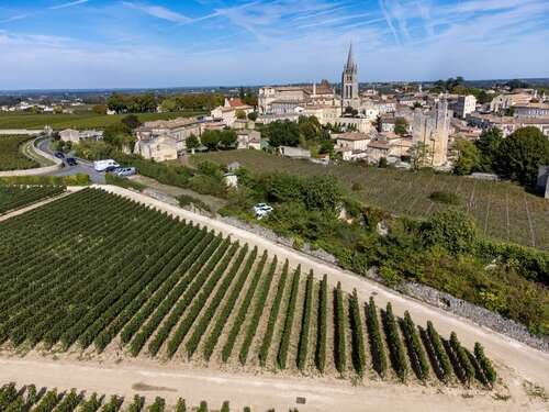 aerial view of white soils and vineyards and village of St-emilion