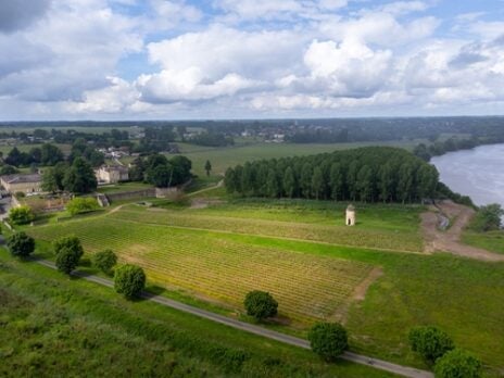 2025 Bordeaux tasting notes: Left Bank—Graves and Pessac-Léognan