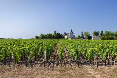 A view of the grey-tiled tower and white buildings of Château Beychevelle beyond a vineyard.