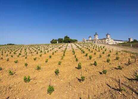 2025 Bordeaux tasting notes: Left Bank—St-Estèphe