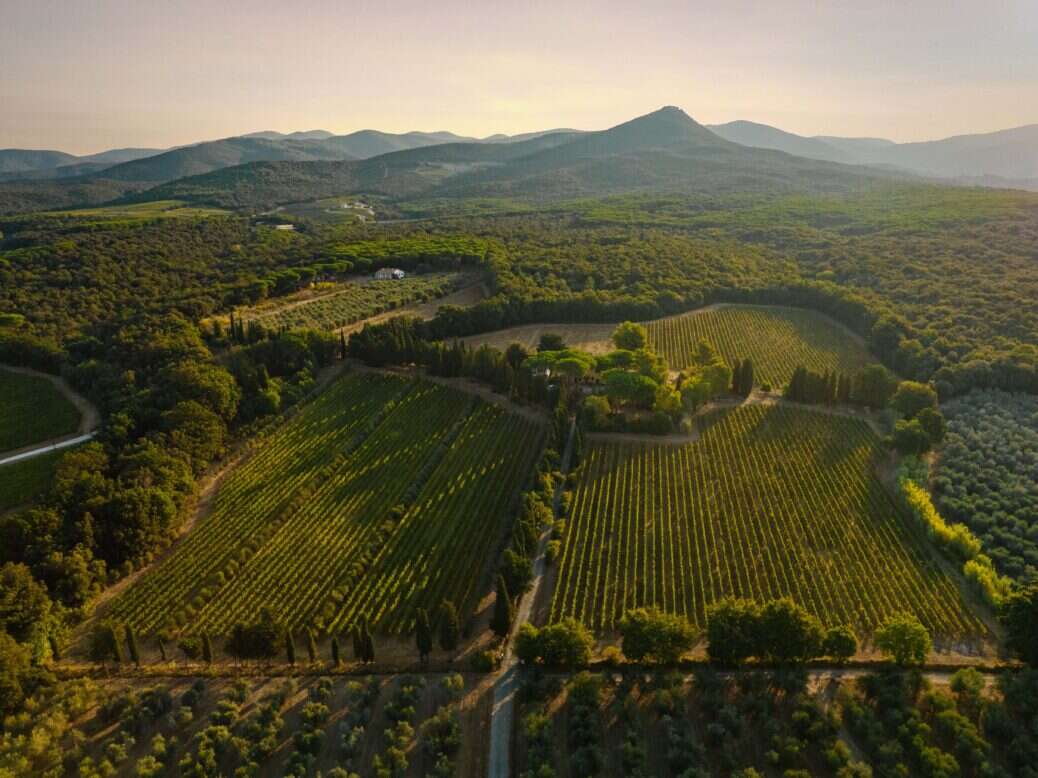 A view of vineyards and a winery with hills and a sunset in the distance