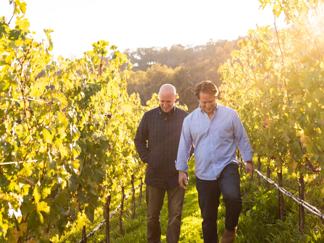 Two men, one bald and trim in a black shirt and one in a blue untucked shirt with brown hair, walking in the row between two sunlit rows of vines