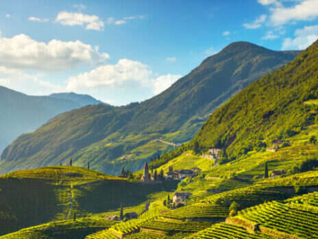 Schiava and Lagrein: The red spirit of Alto Adige