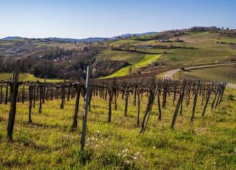 Oltrepò Pavese: Top of the Classese