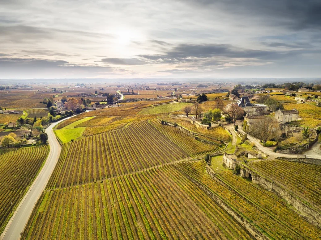 A spectacular aerial view of vineyards and a château