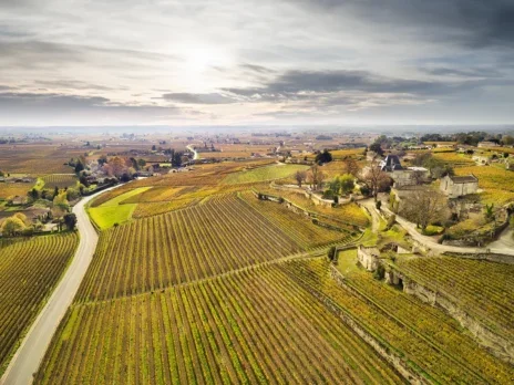 In search of the soul of St-Emilion