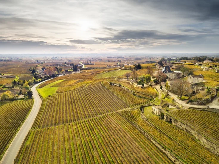 A spectacular aerial view of vineyards and a château