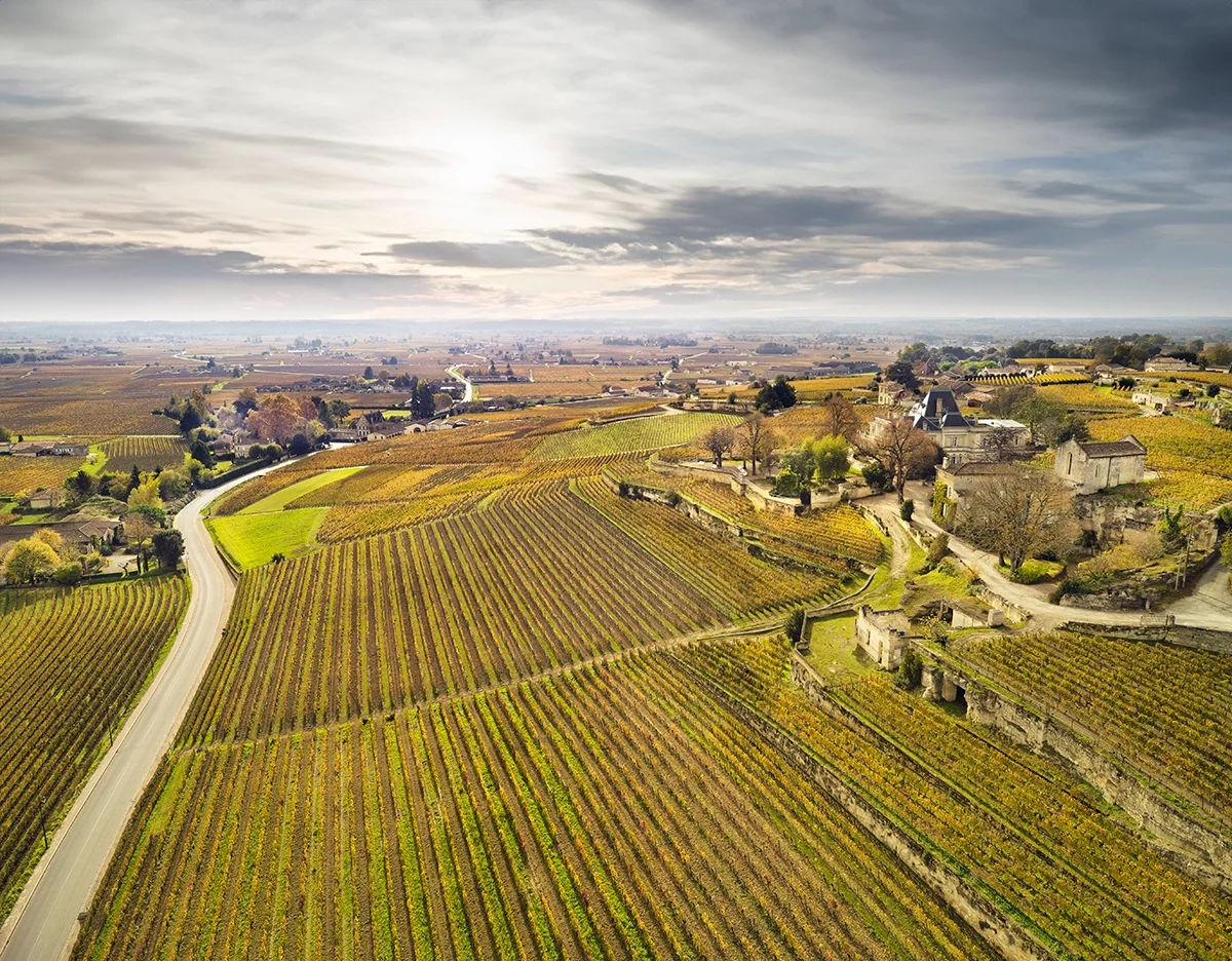 In search of the soul of St-Emilion