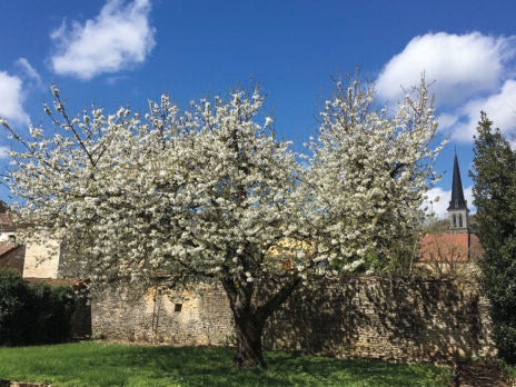 Vintage voyage: A home in Burgundy
