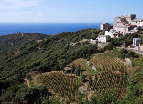 Vintage voyage: Corsica—Beauté from obscurity