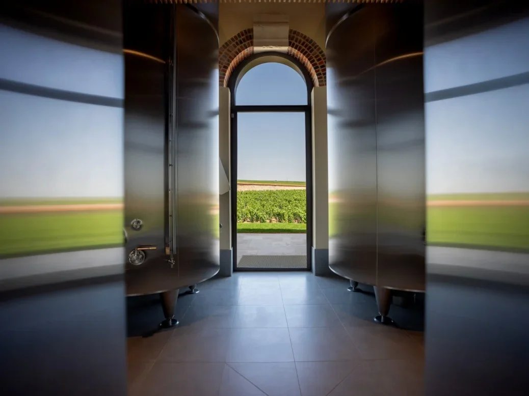 the Champagne Barons de Rothchild cellar with barrels reflecting the view that you can also see out of the window of vines aon a sunny day