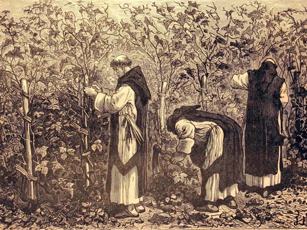 a 19th-century black ad white illustration of monks working in a vineyard