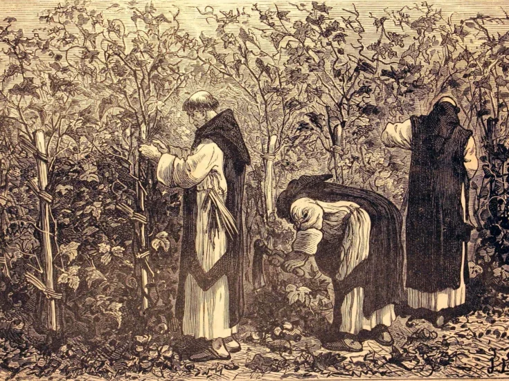 a 19th-century black ad white illustration of monks working in a vineyard