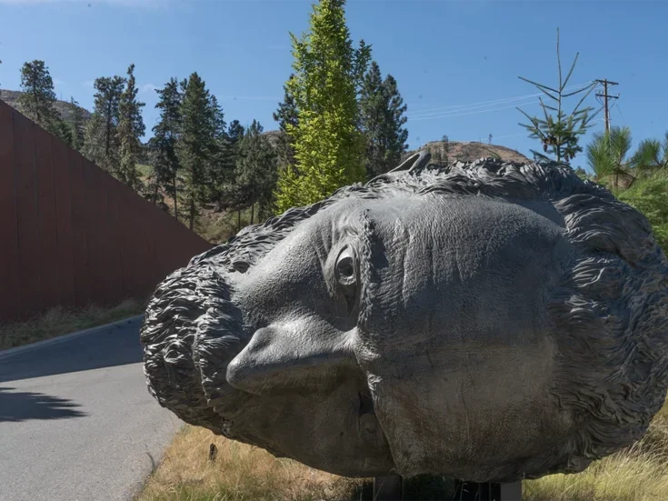 A huge metal statue of Van Gogh's head, lying on its side, outside a winery with fir trees